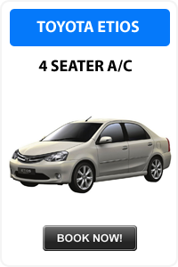 Car Rental Services